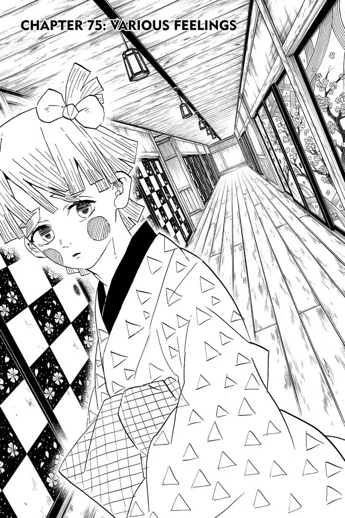 Demon Slayer Chapter 75 image 01_optimized